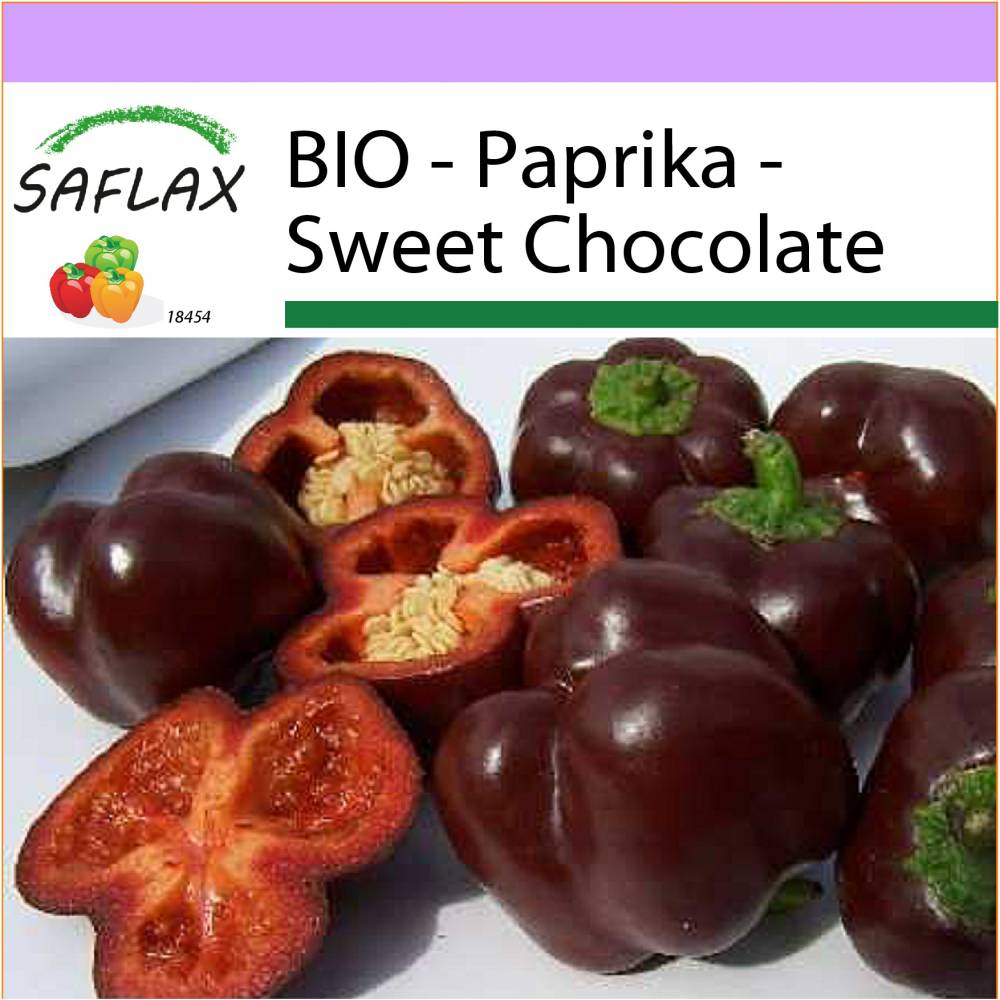 SAFLAX - BIO - Paprika - Sweet Chocolate - 10 Samen - Capsicum annuum Bild 1