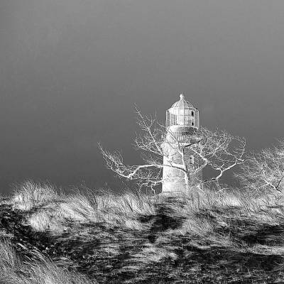 Leuchtturm Darßer Ort Fotografie Kunstdruck Hahnemühle FineArt Baryta