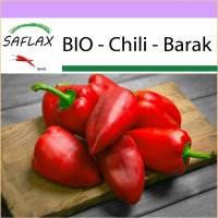 SAFLAX - BIO - Chili - Barak - 15 Samen - Capsicum annuum Bild 1
