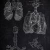 The Lung No. 2 - Patent-Style - Anatomie-Poster Bild 2