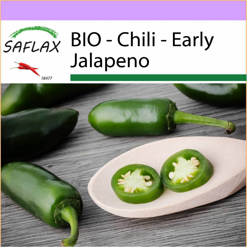 SAFLAX - BIO - Chili - Early Jalapeno - 20 Samen - Capsicum annuum Bild 1