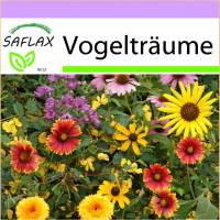 SAFLAX - Wildblumen: Vogelträume - 1000 Samen - 20 Wildflower Mix Bild 1