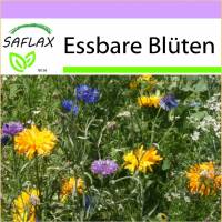 SAFLAX - Wildblumen: Essbare Blüten - 1000 Samen - 12 Wildflower Mix Bild 1