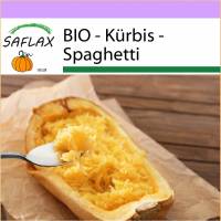 SAFLAX - BIO - Kürbis - Spaghetti - 5 Samen - Cucurbita pepo Bild 1