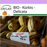 SAFLAX - BIO - Kürbis - Delicata - 6 Samen - Cucurbita pepo