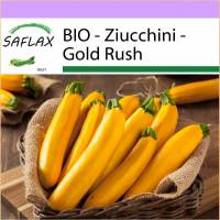 SAFLAX - BIO - Ziucchini - Gold Rush - 5 Samen - Cucurbita pepo