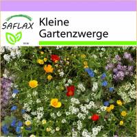 SAFLAX - Wildblumen: Kleine Gartenzwerge - 1000 Samen - 18 Wildflower Mix Bild 1