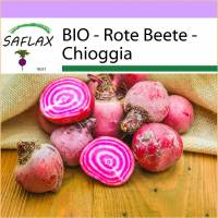 SAFLAX - BIO - Rote Beete - Chioggia - 70 Samen - Beta vulgaris Bild 1