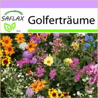 SAFLAX - Wildblumen: Golferträume - 1000 Samen - 17 Wildflower Mix Bild 1