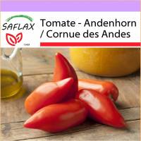 SAFLAX - Tomate - Andenhorn / Cornue des Andes - 10 Samen - Lycopersicon esculentum Bild 1