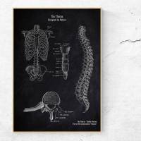 The Thorax No. 2 - Patent-Style - Anatomie-Poster Bild 1
