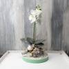Tischgesteck, Gesteck mit weißer Orchidee, Orchideengesteck, Tischdekoration Bild 2