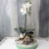 Tischgesteck, Gesteck mit weißer Orchidee, Orchideengesteck, Tischdekoration Bild 5