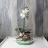 Tischgesteck, Gesteck mit weißer Orchidee, Orchideengesteck, Tischdekoration Bild 7