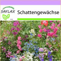 SAFLAX - Wildblumen: Schattengewächse - 1000 Samen - 19 Wildflower Mix Bild 1