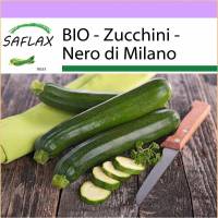 SAFLAX - BIO - Zucchini - Nero di Milano - 6 Samen - Cucurbita pepo Bild 1