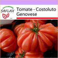 SAFLAX - Tomate - Costoluto Genovese - 10 Samen - Lycopersicon esculentum Bild 1