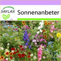 SAFLAX - Wildblumen: Sonnenanbeter - 1000 Samen - 17 Wildflower Mix Bild 1
