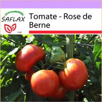 SAFLAX - Tomate - Rose de Berne - 10 Samen - Lycopersicon esculentum Bild 1