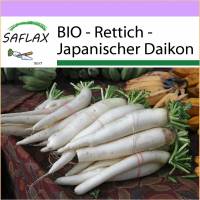 SAFLAX - BIO - Rettich - Japanischer Daikon - 100 Samen - Raphanus sativus Bild 1