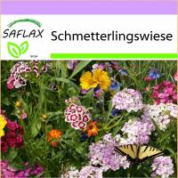 SAFLAX - Wildblumen: Schmetterlingswiese - 1000 Samen - 21 Wildflower Mix Bild 1
