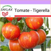 SAFLAX - Tomate - Tigerella - 10 Samen - Lycopersicon esculentum Bild 1