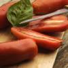 SAFLAX - Tomate - San Marzano - 10 Samen - Lycopersicon esculentum Bild 5