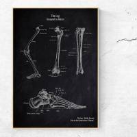 The Leg - Patent-Style - Anatomie-Poster Bild 1