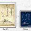The Leg - Patent-Style - Anatomie-Poster Bild 5
