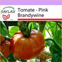 SAFLAX - Tomate - Pink Brandywine - 10 Samen - Lycopersicon esculentum Bild 1
