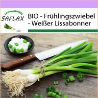 SAFLAX - BIO - Frühlingszwiebel - Weißer Lissabonner - 150 Samen - Allium cepa Bild 1
