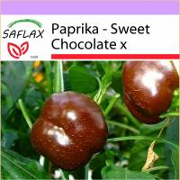 SAFLAX - Paprika - Sweet Chocolate x - 10 Samen - Capsicum annum Bild 1