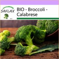 SAFLAX - BIO - Broccoli - Calabrese - 100 Samen - Brassica oleracea Bild 1