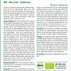 SAFLAX - BIO - Broccoli - Calabrese - 100 Samen - Brassica oleracea Bild 2
