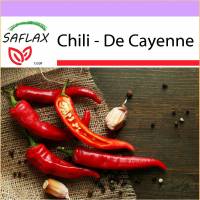 SAFLAX - Chili - De Cayenne - 20 Samen - Capsicum annum Bild 1