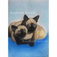 Siam Katzen handgemaltes Pastellkreidebild Tierporträt 40 x 30 cm in Hochformat Bild 1