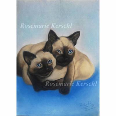 Siam Katzen handgemaltes Pastellkreidebild Tierporträt 40 x 30 cm in Hochformat