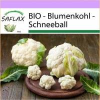 SAFLAX - BIO - Blumenkohl - Schneeball - 70 Samen - Brassica oleracea Bild 1
