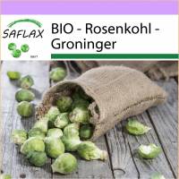 SAFLAX - BIO - Rosenkohl - Groninger - 30 Samen - Brassica oleracea Bild 1