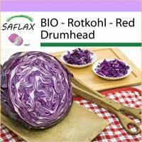 SAFLAX - BIO - Rotkohl - Red Drumhead - 250 Samen - Brassica oleracea Bild 1
