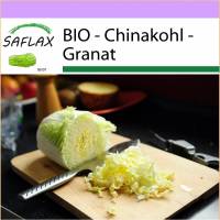 SAFLAX - BIO - Chinakohl - Granat - 40 Samen - Brassica rapa Bild 1