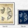 The Scull No. 2 - Patent-Style - Anatomie-Poster Bild 5