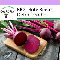 SAFLAX - BIO - Rote Beete - Detroit Globe - 100 Samen - Beta vulgaris Bild 1