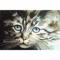 Kätzchen mit blauen Augen handgemaltes Aquarellbild Tierporträt 30 x 32 cm in Querformat Bild 1