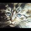 Kätzchen mit blauen Augen handgemaltes Aquarellbild Tierporträt 30 x 32 cm in Querformat Bild 2