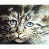 Kätzchen mit blauen Augen handgemaltes Aquarellbild Tierporträt 30 x 32 cm in Querformat Bild 5
