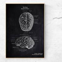 The Brain No. 2 - Patent-Style - Anatomie-Poster Bild 1