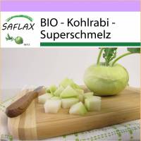 SAFLAX - BIO - Kohlrabi - Superschmelz - 20 Samen - Brassica oleracea Bild 1
