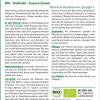 SAFLAX - BIO - Kohlrabi - Superschmelz - 20 Samen - Brassica oleracea Bild 2