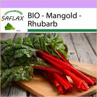 SAFLAX - BIO - Mangold - Rhubarb - 50 Samen - Beta vulgaris Bild 1